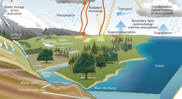 Wetlands and Global Water Cycle Regulation